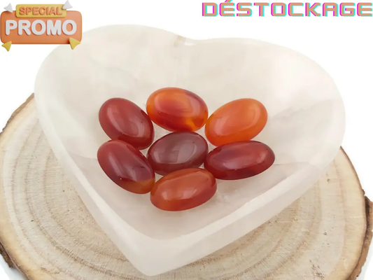 Cornaline - Cabochon ovale  - 25 x 18 mm Les Précieuses Perles