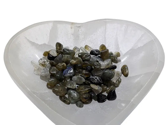 Labradorite - Puces percées - 38 cm Les Précieuses Perles