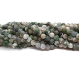 Agate arbre - 6 mm - 60 Perles