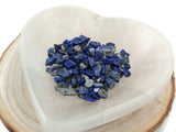 Lapis Lazuli - Puces percées